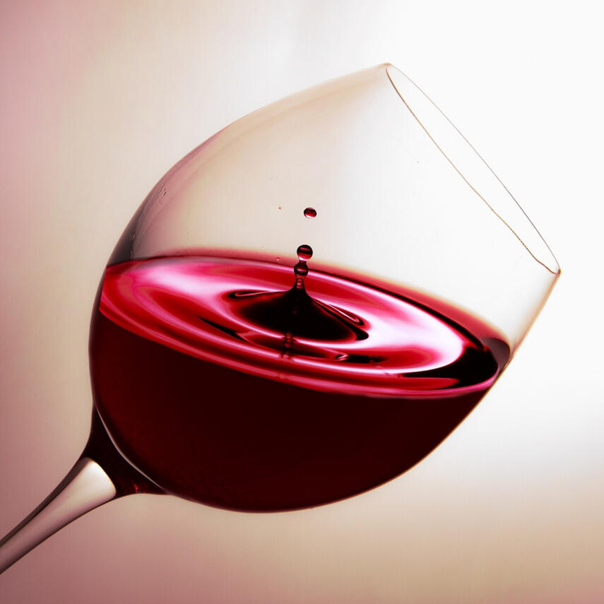 Venue Mascot: Finnigan!