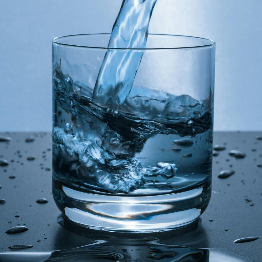 Venue Mascot: Finnigan!