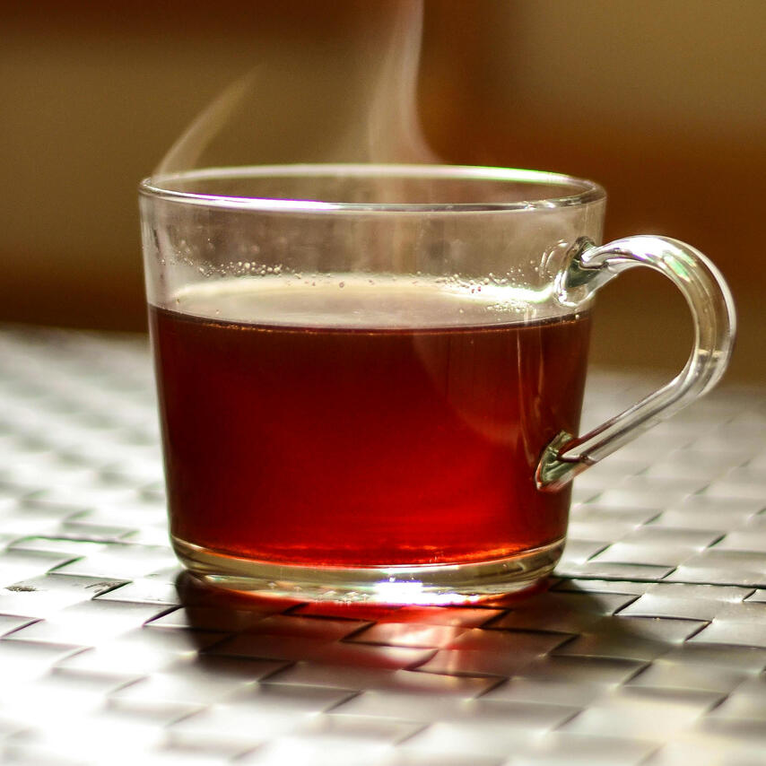 Venue Mascot: Finnigan!